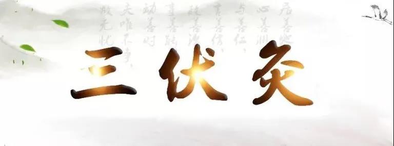 艾灸冬病夏治，春夏養陽(yáng)，三伏灸果真如此神奇？