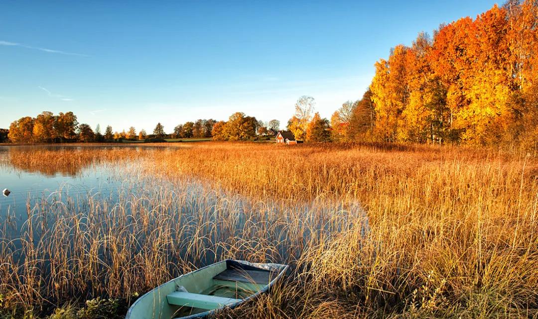 多事之秋多艾灸，秋季需要做艾灸的三大原因