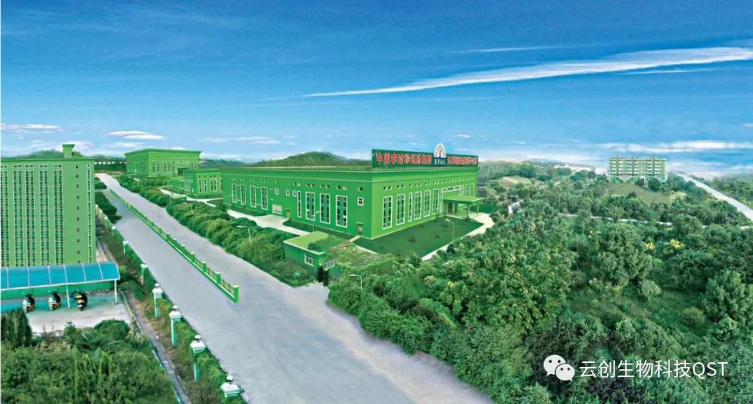 專(zhuān)業(yè)專(zhuān)注，匠心可見(jiàn)——云創(chuàng  )蘄善堂考察團前往李時(shí)珍醫藥集團考察