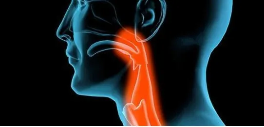 這個(gè)穴位祛痰濕，專(zhuān)克咳嗽痰多、肥胖結節！