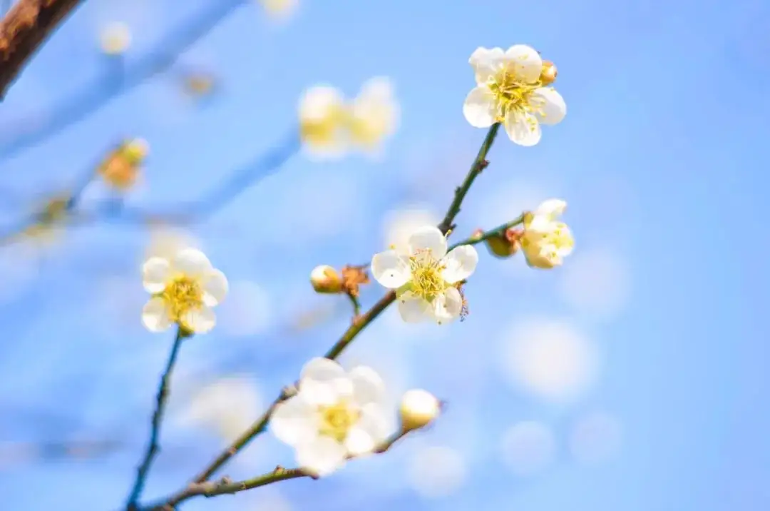 “女人的腳、男人的背”不能受寒，易落下病根!