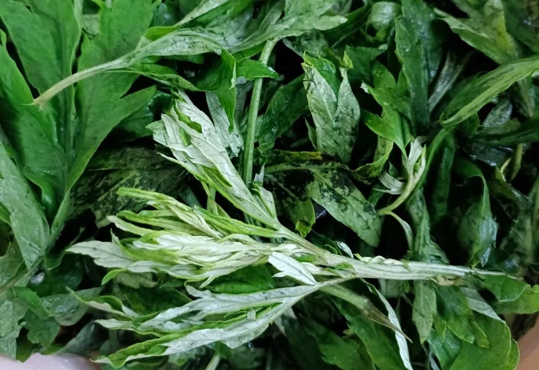 微信圖片_20220606182232.jpg 微信圖片_20220606182232.jpg