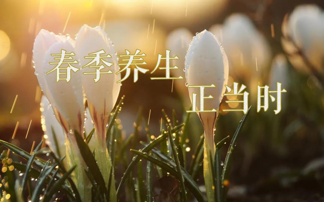 春天艾灸，陽(yáng)上增陽(yáng)，這些技巧別錯過(guò)！