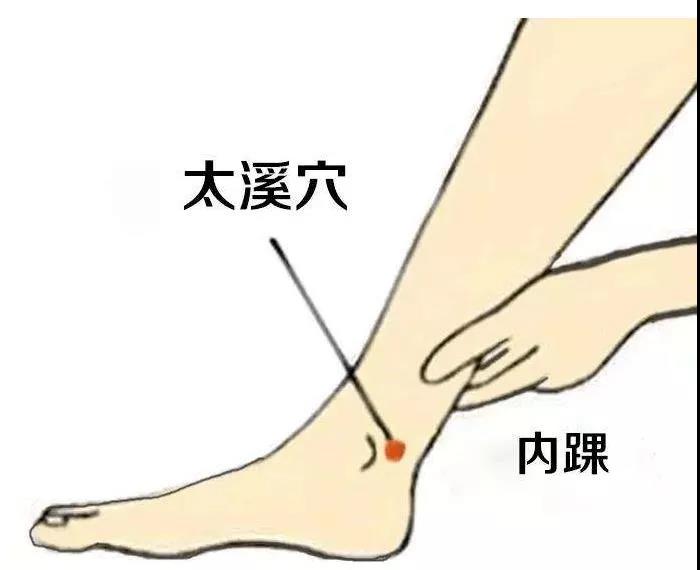 護腎養腎？這六大穴位就夠了！